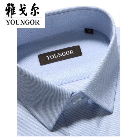 CEO YAGEOL Camiseta para hombres Camiseta de mediana edad de manga larga de manga larga para hombres Camiseta de hombres suelto para hombres sueltos Camisa insignia-TLVP14380 40/175 [140-155Jin [Jin equivale a 0.5 kg]]