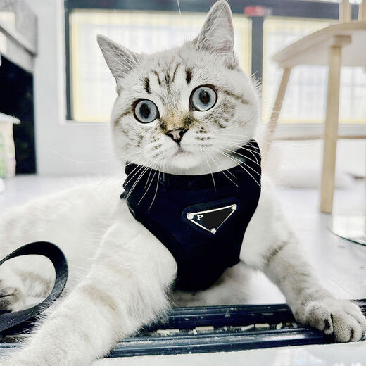 OTHER trendy brand ins dog collar chest strap dog neck ring vest small dog and cat traction leash to prevent breaking out and going out. traction bag 12595cm L: bust circumference 4047cm recommended 1012Jin [Jin equals 0.5 kg]