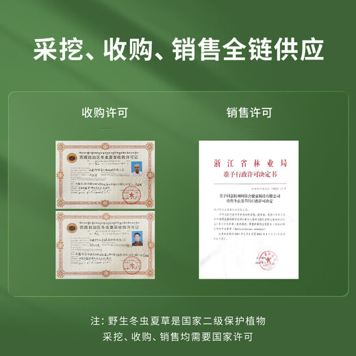 La primera calabaza de Ayishe Tibet de Cordyceps sinensis frescos y salvajes en Nagqu, Tíbet en 2025, transporte de aire y cajas de regalo para productos nutricionales para ancianos. Hierba fresca salvaje 0.5g/raíz 50