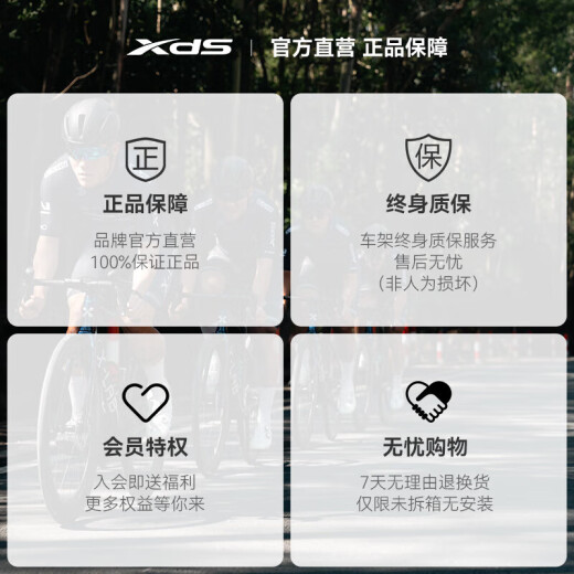 XIDESHENG [STARE CAR COMBACIÓN] Bike de carretera AD7 Fibra de carbono Marco del molino de viento 2*12 Transmisión electrónica Presión de Aceite Disc Disc Breen Green Magic (105 Transformación eléctrica) 700C*480 (adecuado para 165-175 cm)