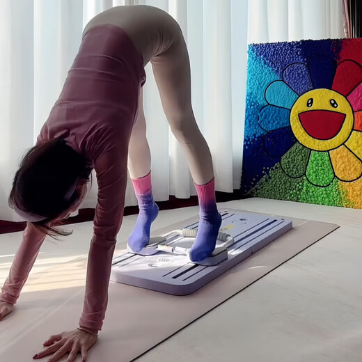 Jiaojing Home Pilates Board Home Pilates Equipment Mini Core Bed Abdominal Board Automatic Rebound Fitness Board Home Pilates Board Pink