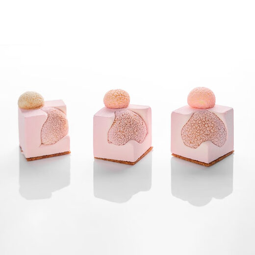 Serie cuadrada mousse de silicona molde de hojaldre francés sándwich moldeo para hornear 28 sándwich cóncavo moho 1049