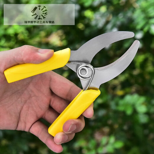 Fruit tree ring grafting shears, girdling shears, girdling shears, girdling shears, grape girdle girdling shears, fruit tree durable yellow girdling shears (no serrations)