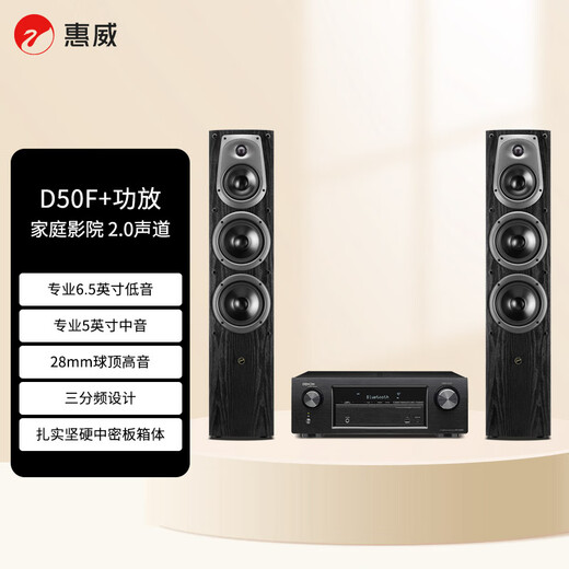 Amplificador HiVi D50F + Denon X540, conjunto de audio para cine en casa, sistema de altavoces de pie de alta fidelidad para sala de estar de 2,0 canales