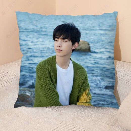 Chengliu guo junchen oreiller fleur rong yanyue même style périphérique en peluche coussin canapé de tête de tête