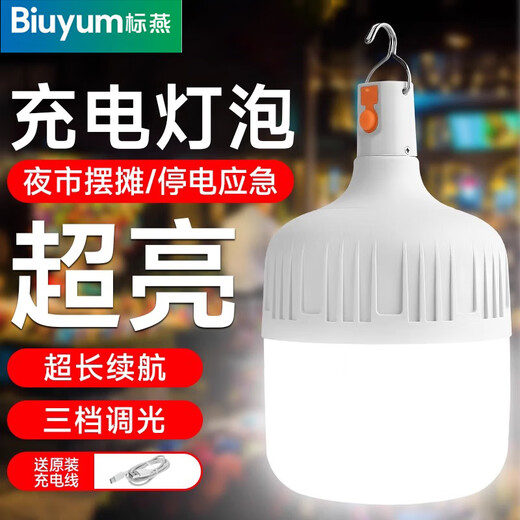 Biuyum led rechargeable light bulb outdoor power outage emergency lighting portable hanging light wireless plug-in-free super long battery life H160 100mm
