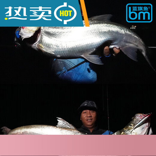 
Blue Sailfish Trail Death Water Floating Pencil Word Dog Luya Bad Little Bad Bad Bad 100mm-15g-739-3d Silver Scale