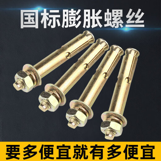 维诺亚膨胀螺丝彭张螺栓加厚加长拉爆膨胀管铁爆炸螺丝钉大全批发 国标 M12807个