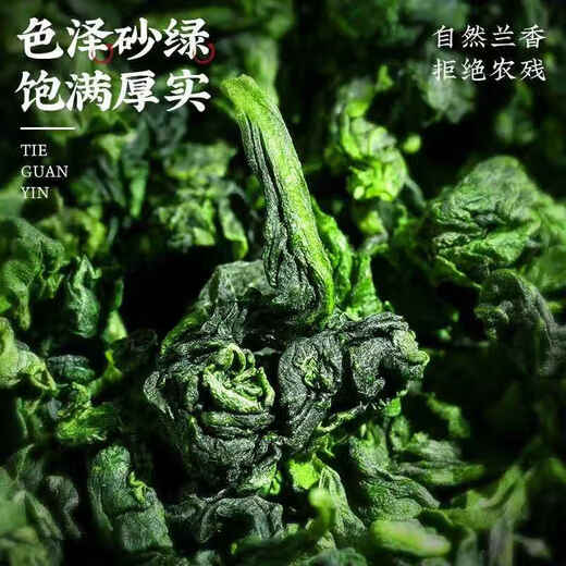Chengdaoming Tea Anxi Tieguanyin Special Grade Xianghua Alpine Orchid Duft und resistent gegen das Brauen neuer Tee -Tee -Dosen [Extra Grade Orchid Duftangehörigkeit Anxi Tieguanyin 100g]