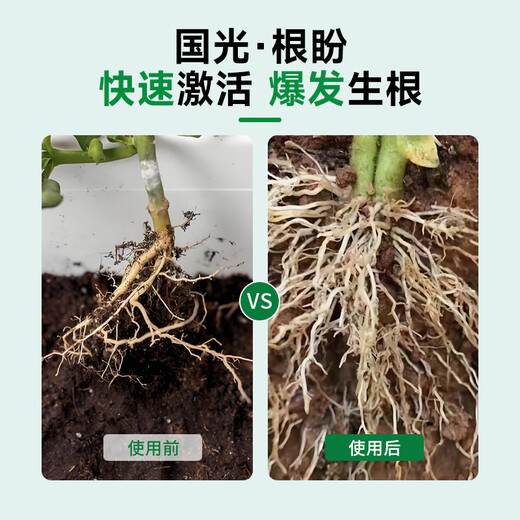 Guoguang Root Promoting Rapid Rooting Liquid Powder Seedlings Flower Cuttings Transplanting Indocynaphthyl Acetic Acid Guoguang Genpan 200ml*1 Bottle