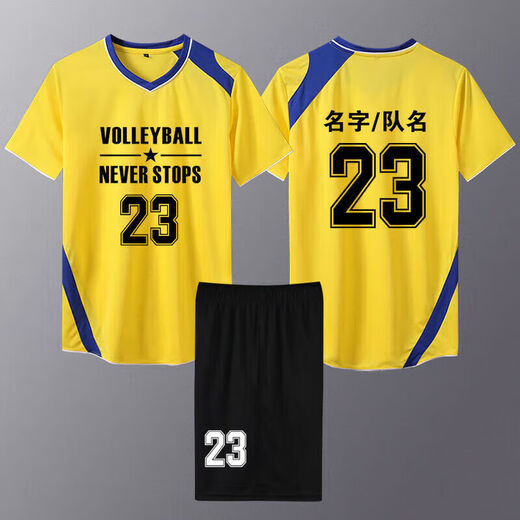 新款排球服套装男短袖定制女款速干气排球服专业训练比赛队服印字 829女款蓝色，效果图仅参考 L L