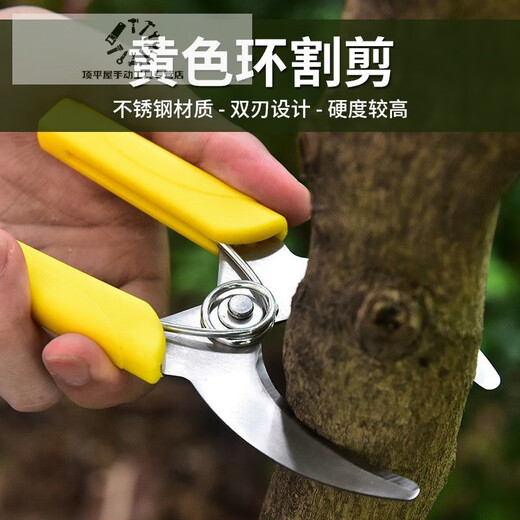 Fruit tree ring grafting shears, girdling shears, girdling shears, girdling shears, grape girdle girdling shears, fruit tree durable yellow girdling shears (no serrations)