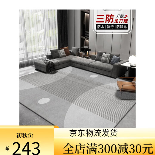 Sala de la alfombra de suye 2024 Nuevo sofá de lujo Sofá Mat de piso de lavable Desperdecimiento de la mesa de café Café de casa Maneta espesa 15601 180*280 cm Estilo espesado mejorado fácil de cuidar
