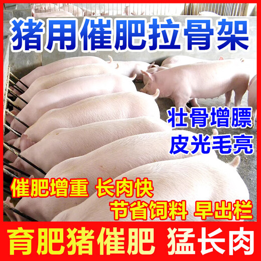 Pig fattening and enlarging the skeleton, growth-promoting premix, rapid growth, early slaughter, weight gain, feed additives for fattening pigs. Buy 3 barrels, get 3 barrels free, 6 barrels in total.
