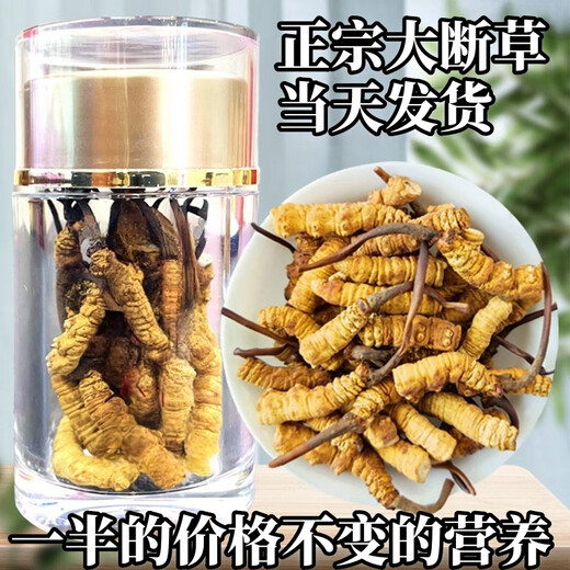 冬虫夏草断草断虫草高海拔虫草断草正宗冬虫夏草滋补品泡酒料药材 西藏那曲大断草100克装送12克
