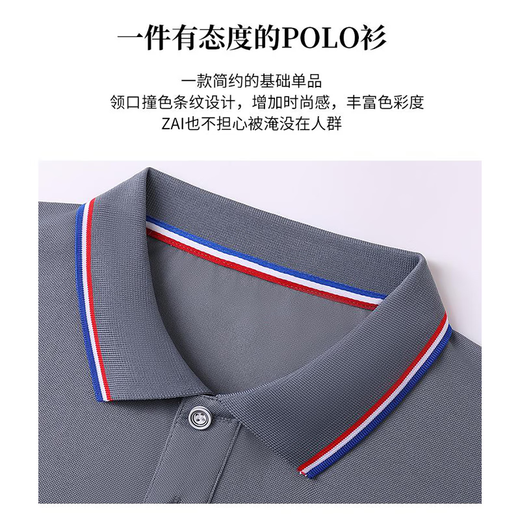 真维斯（Jeanswest）短袖POLO衫夏季纯色绣标上衣服polo衬衫 浅灰698 L （建议100-110斤）