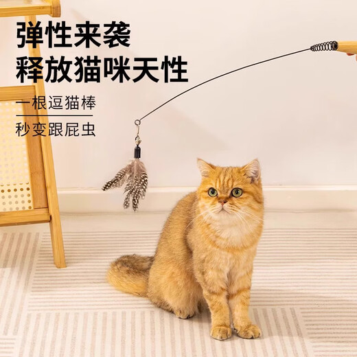 Qioh CFA competition level cat toy cat toy small flying insect feather replacement head resistant to scratching and biting kitten supplies self-entertainment to relieve boredom cat toy + small flying insect replacement head * 3