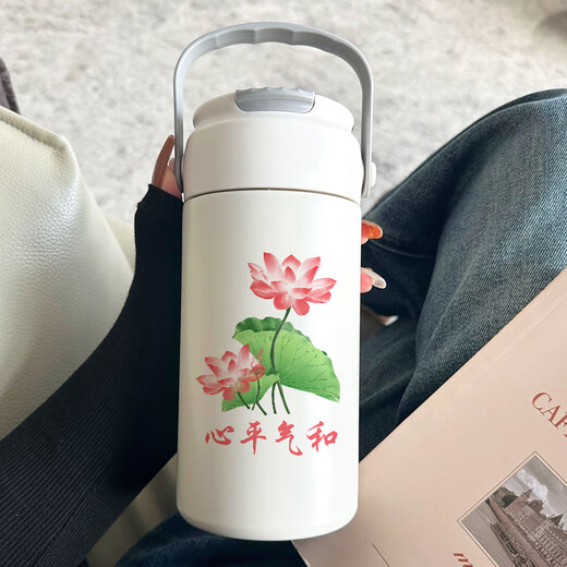 荷花表情包316不锈钢吸管保温杯土酷潮个性趣味莲花有意思水杯子 750ML吸管杯-TK6187荷花