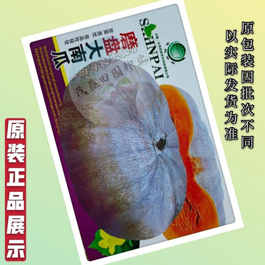 Mopan Big Pumpkin Old Variety Large Pumpkin Seeds Self-saved Pumpkin Seeds High-yielding Vegetable Pumpkin Seeds Mopan Big Pumpkin Seeds Original Five Packs About 130 + Songpin