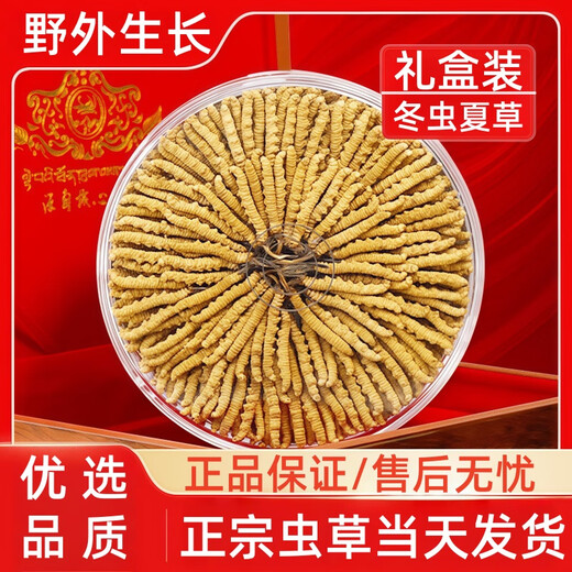 冬虫夏草冬虫夏草藏区雪域头茬头期新干虫草多种规格精品礼盒装 藏区虫草2根1克合计30根