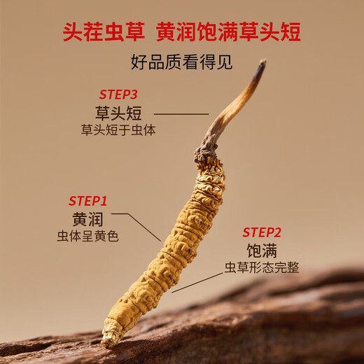 
Huangjia Excellent Cordyceps 3-4 roots/1g 1g Pack Selected High Altitude High Quality Level Holiday Gift