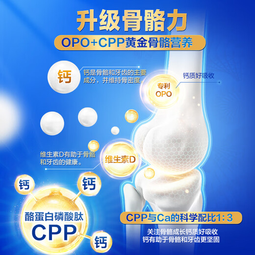 JUNLEBAO Zhizhen A2 Milk Powder 3 Stages (12-36 Months) Tin Pack 170g Add OPO+CPP New and Old Randomly Delivered