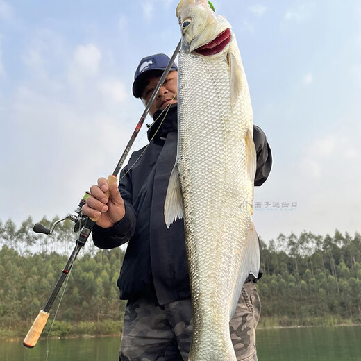 
23 new NS Avengers Tamsui Sea Water Luna Rod Gun Handle Straight Carbon Light Hard Type Sticky Mouth Sea Bass Single-section Rod 682m New C-/ Gun Handle 2 Sections 2.03m