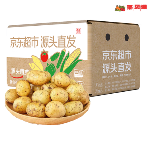 Jingdida Shandong small potatoes net weight 9Jin Jin is equal to 0.5kg, single fruit is more than 100g, fresh vegetables, potatoes, straight from the source
