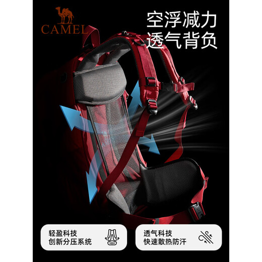 Camel (CAMEL) Outdoor Mountaineering Bag Hiking Men's and Women's Waterproof Backpack Large Capacity Lightweight Casual Sports Bag Backpack Fruit Green, Free Rain Cover Large Capacity Splash Resistant and Wear Resistant