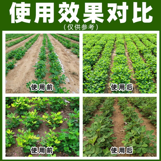 20% choline chloride S-attractin plant growth regulator special medicine for regulating crop growth genuine 500g*5 bottles preferred by regular customers