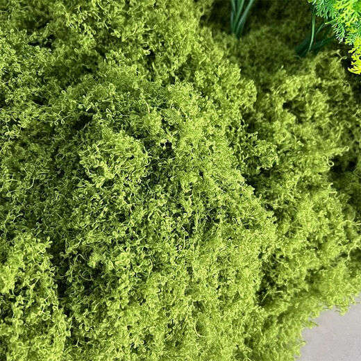 Runhuanian imitation moss landscaping fake moss yarn turf green plants micro landscape plant decoration artificial bionic lawn paving filamentous moss light green 50g can be paved 30*60cm