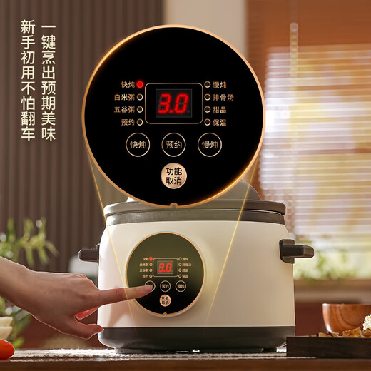 Electric stew pot steamer electric cooking pot stew pot casserole stew and steam all-in-one food supplement pot stew soup cup electric stew pot electric casserole soup pot stew water-proof porridge multi-function 1.8L purple sand scheduled appointment 1-2 people