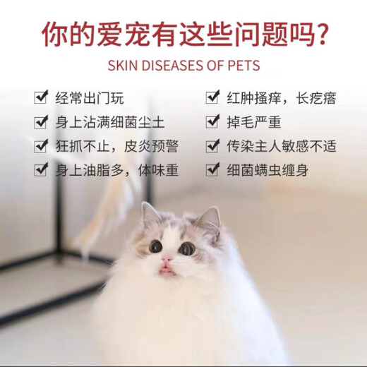 Zhengpet pet special shower gel removes mites, deodorizes and leaves fragrance, no-wash bubble mousse for bath cleaning, Zhengpet no-wash mousse 1 bottle 500ml