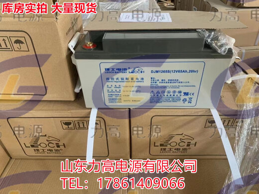 RIS -Batterie DJM12V100AH65AH38A24A200A Solar Ups Elevator Notfallkolloid -Batterie DGM12200/12V200AH RIS -Unterstützung Inspektion
