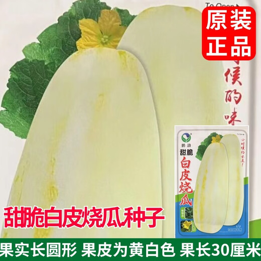 Sweet and crispy white-skinned roasted melon seeds, melon seeds, old-fashioned roasted melons, old-fashioned tipped melons, Shandong large white melon seeds, sweet and crispy white-skinned roasted melon seeds, the peel is yellow and white, original 1 pack, about 80 capsules + fertilizer