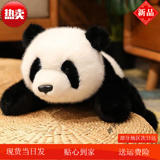 Süße kleine Waschbärpuppe Plüschspielzeugsimulation Panda Zoo Kinder Geburtstag Geschenkpuppe Stammes Stammes BROWN WACKCOON 45 cm [Bandverpackung]
