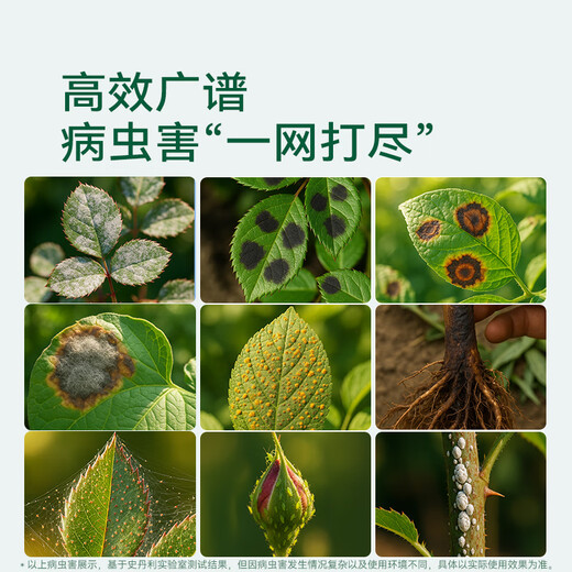 Stanley Lime Sulfur Mixture, Special for Anthracnose, Commonly Used Medication for Rose Flower Diseases and Pests, General Fungicide for Flowers and Plants 1000g Comes with a dropper when ordering