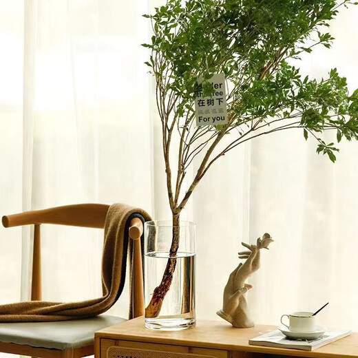 MPPMCK-Acryl-Anti-Fall-Vase-Ornament Wohnzimmerblüteanordnung Transparentes hydroponisches Bambus gerade Barrel Advanced Awakening Blum Eimer Dicked [hohe Wertempfehlung] 12352 Dezimalanlagen