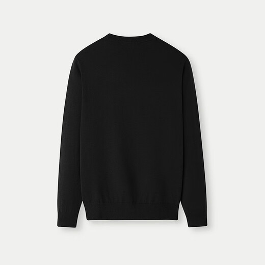 HLA Hai Lan House sweater men's 25 pattern embroidery warm round neck casual sweater men's autumn