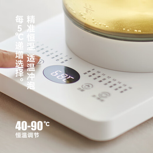 Olayks immediate pure titanium health kettle titanium alloy tea kettle insulation integrated fully automatic constant temperature kettle with filter multi-function kettle 1.5L OLK-YSH800K-1