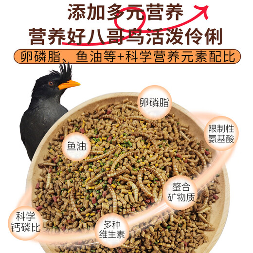 Kaiyuan starling bird food earl full price starling bird food special bird food starling full price bird food beautiful feather improvement and strong fat bird food