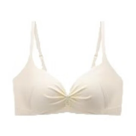无痕内衣女聚拢小胸显大夏薄款收副乳防下垂提拉上托无钢圈文胸罩 R-提拉公主杯 灰紫 M  34/75AB