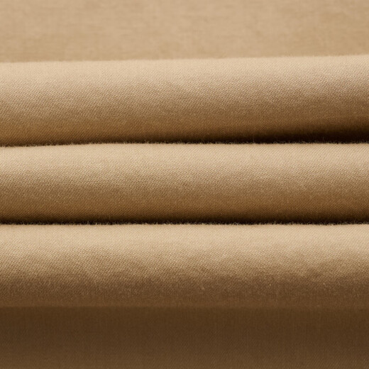 HAZZYS Women's Clothing Autumn Women's Elegant Casual Loose Long-Sleeved Shirt Women ASCSK1CCK09 Beige BI XL (170/92A 42)