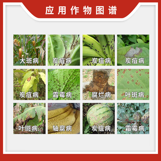 BASF Germany BASF Kairun pyraclostrobin anthrax soybean leaf spot grape downy mildew pesticide special fungicide 8ml