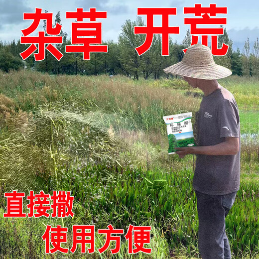 Cyclazinone is a special medicine to remove dead trees and rotten roots of large trees. Herbicide is a special medicine to remove big trees and remove rotten roots of bamboo. Genuine Cyclazinone 10Jin Jin is equal to 0.5kg
