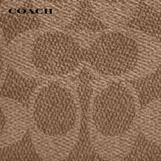 Entrenador (entrenador) [Brand Direct Supply] Pequeña billetera para hombres amarillo marrón CY394QBNRX