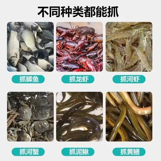 Chaosihui 2693 people shrimp cage fish net fish cage automatic crab folding eel fishing net lobster fishing artifact loach cage luminous upgrade 6 mouth + 10 bait accessories