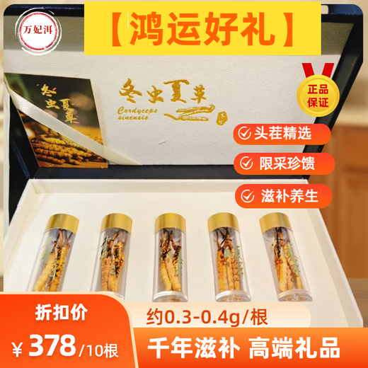 Wanfeier Abordable auto-usage Cordyceps Sinensis Health Supplement Nourishing Suppléments nutritionnels 5 Roots [Tonic Experience Gift Box] Environ 0,2 g / racine