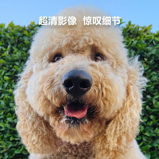 Samsung Galaxy S23 S23+ second-hand mobile phone, full network 5G, super vision night shot, eye protection direct screen, Snapdragon 8 Gen2 Samsung S23+, soft white, 8G+256GB, 95 new (top quality, high battery health)