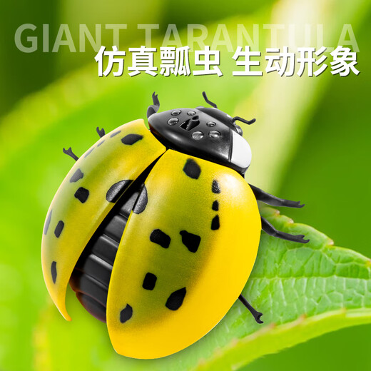 电动感应瓢虫玩具儿童整蛊遥控会动昆虫爬虫动物男孩女孩网红仿真 经典版-遥控蜈蚣黄黑款9901+螺 官方标配